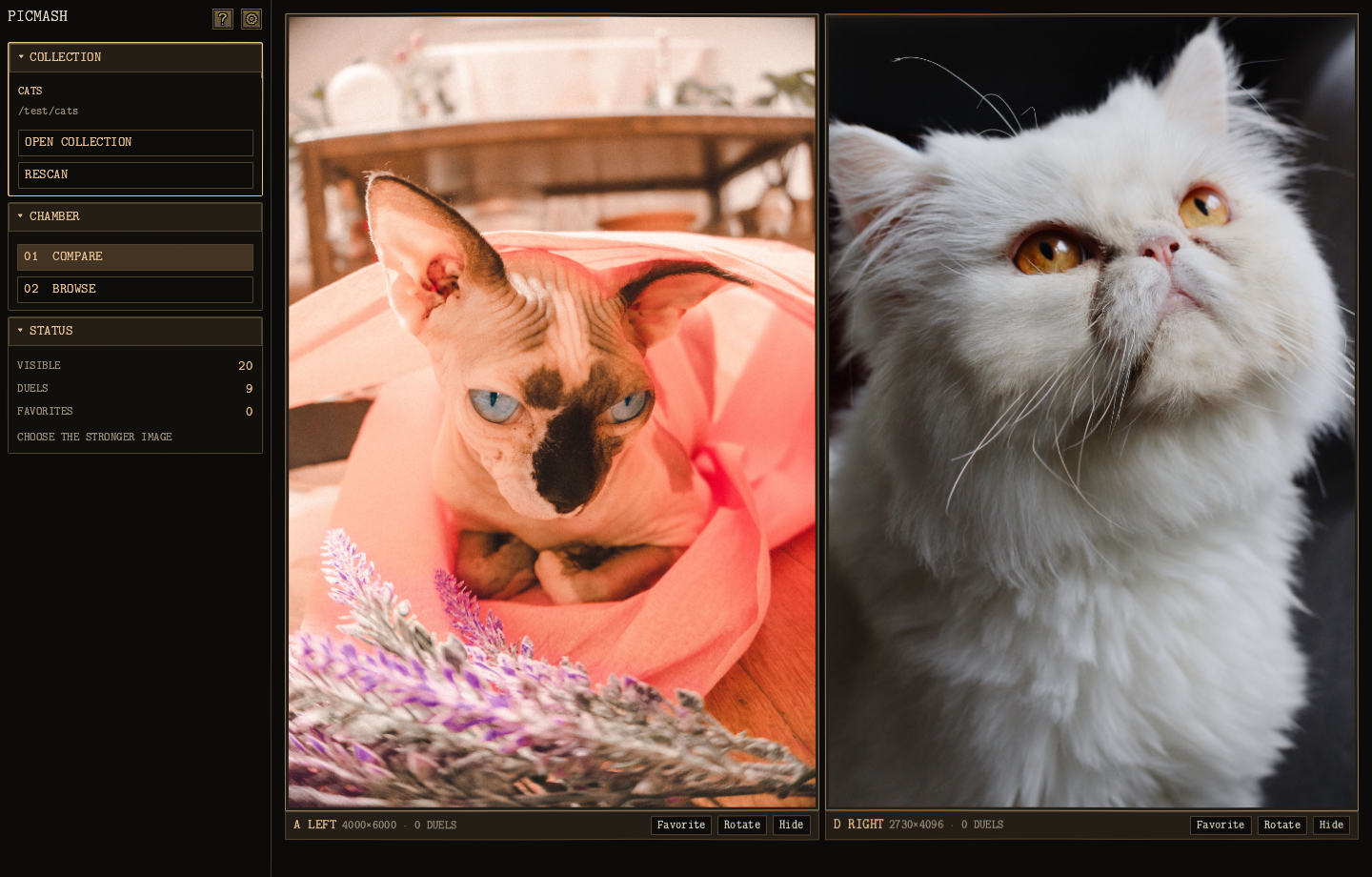 Picmash comparing a hairless Sphynx wrapped in a pink blanket with a white Persian, each photo filling half the chamber